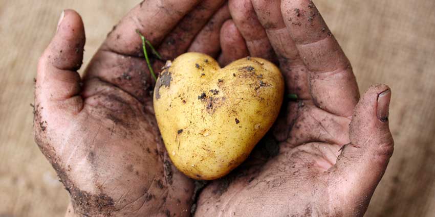 Nationale Vegetarische Woche, unterstützt von Island Delight